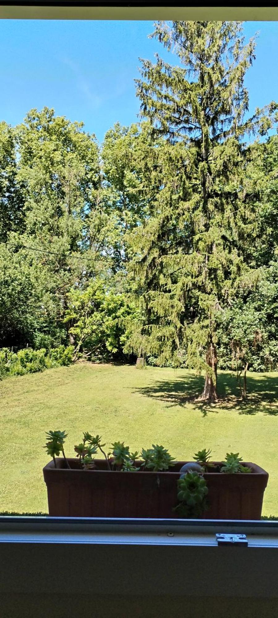 La Casanat Bed & Breakfast Montgiscard Bagian luar foto